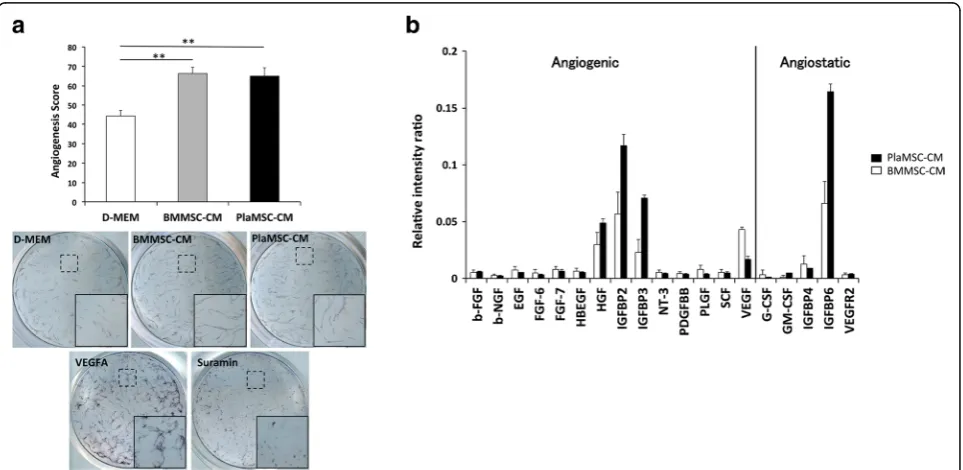 Fig. 2 Angiogenic activity and growth factor profile of PlaMSC-CM. a In-vitro angiogenic activity of PlaMSC-CM assessed by an endothelial tube formationassay