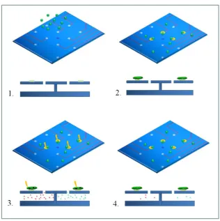 Figure 3.10. Schematic illustration of the Lab-on-Cell. 