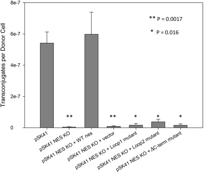 Figure 1.5. Effect of NES Mutants on Conjugation in S aureus 