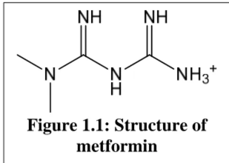 Figure 1.1: Structure of  metformin Chapter 1 