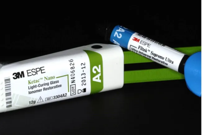Figure 2. Restorative materials  resin-based  composite (RBC)  and resin-modified  glass ionomer  (RMGIC)