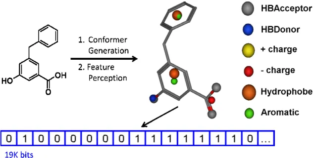 Figure 2.1a.6: The pFP descriptor calculation. For each compound, multiple conformers are  generated, each of which is assigned 