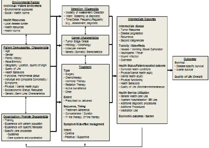 Figure 3.1 Carpenter and colleagues’ conceptual model for examining data for nonexperimental  cancer comparative effectiveness research 