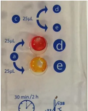FIG 1 Representative photo of positive Rapidec Carba NP test result exhibiting a signiﬁcant colorvariation between wells d (test control) and e (test isolate)