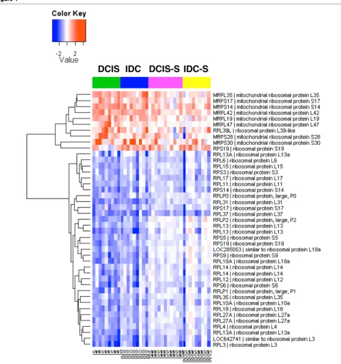 Figure 4Heatmap of differential expression of ribosomal protein genes in the malignant epithelium and tumor stromaHeatmap of differential expression of ribosomal protein genes in the malignant epithelium and tumor stroma