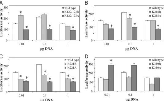 FIGURE 3. Transactivation assay for p65-YFP acetylation mutants. Luciferase assays were performed by transfecting the mutants into COS-1 cells together with a ␬B-luciferase reporter construct
