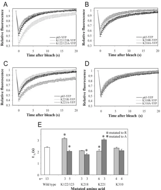 Fig. 4. Representative FRAP curves for the mutants are shown in A–D. Corresponding t 1 ⁄ 2 values are presented in E