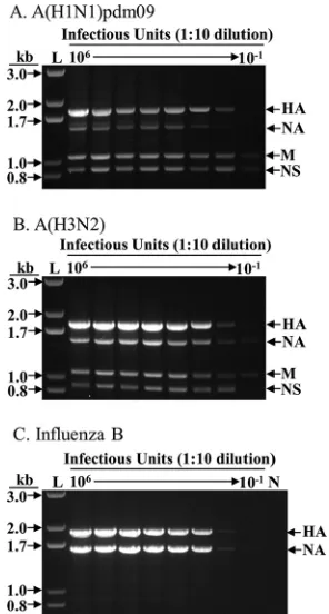 TABLE 2 Summary of inﬂuenza A and B samples ampliﬁed and sequenced in this study