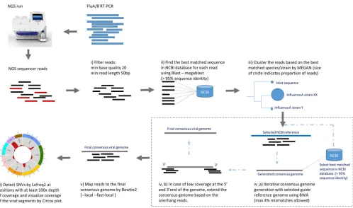 FIG 5 Main steps in the NGS analysis pipeline. (i) Filter the sequencing reads by cutadapt and FastQC, (ii) ﬁnd the nearest sequence in NCBI database for eachread, (iii) cluster and identify the viral species, (iv) generate consensus genomic sequence itera