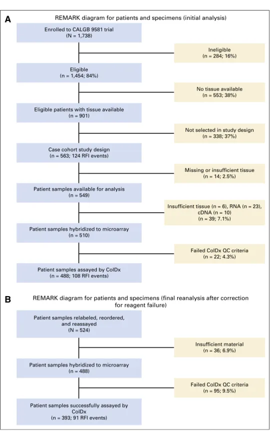 Fig 1. (A) REMARK diagram for patients and specimens (initial analysis). (B) REMARK  dia-gram for patients and specimens ( ﬁnal  analy-sis)