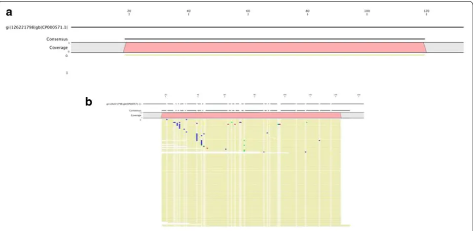 Fig. 3 Read mapping against a representative amplicon from B. pseudomallei at 1e2 spike-in