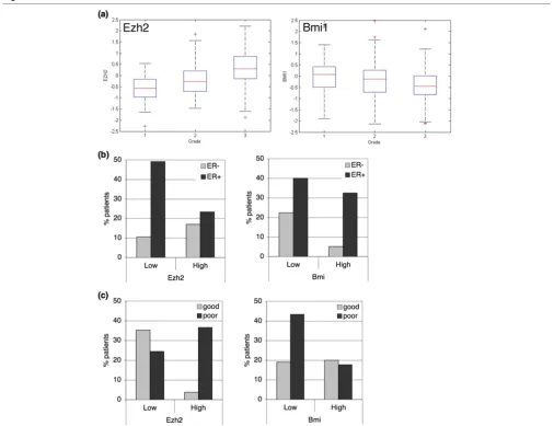 Figure 2EZH2 and BMI1 inversely correlate with variables associated with survivalEZH2 and BMI1 inversely correlate with variables associated with survival