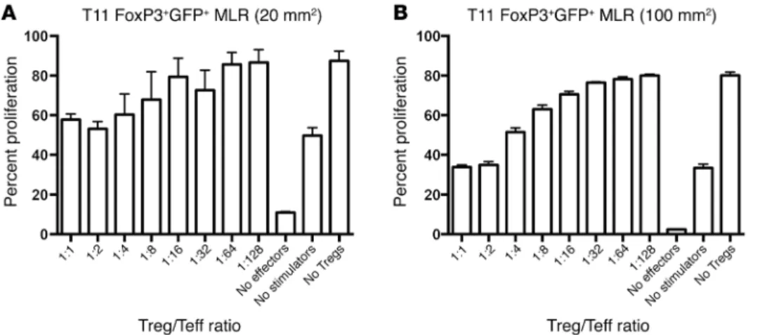 Figure 3. FoxP3 +  cells from T11 tumor–