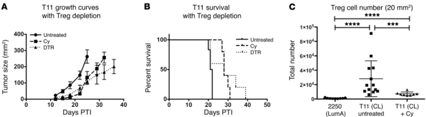 Figure 7. Treg depletion delays tumor growth in the absence of adoptive transfer. WT untreated, Cy-treated, and DEREG mice were injected with 1 × 10 4 T11 cells (n = 5 per group)