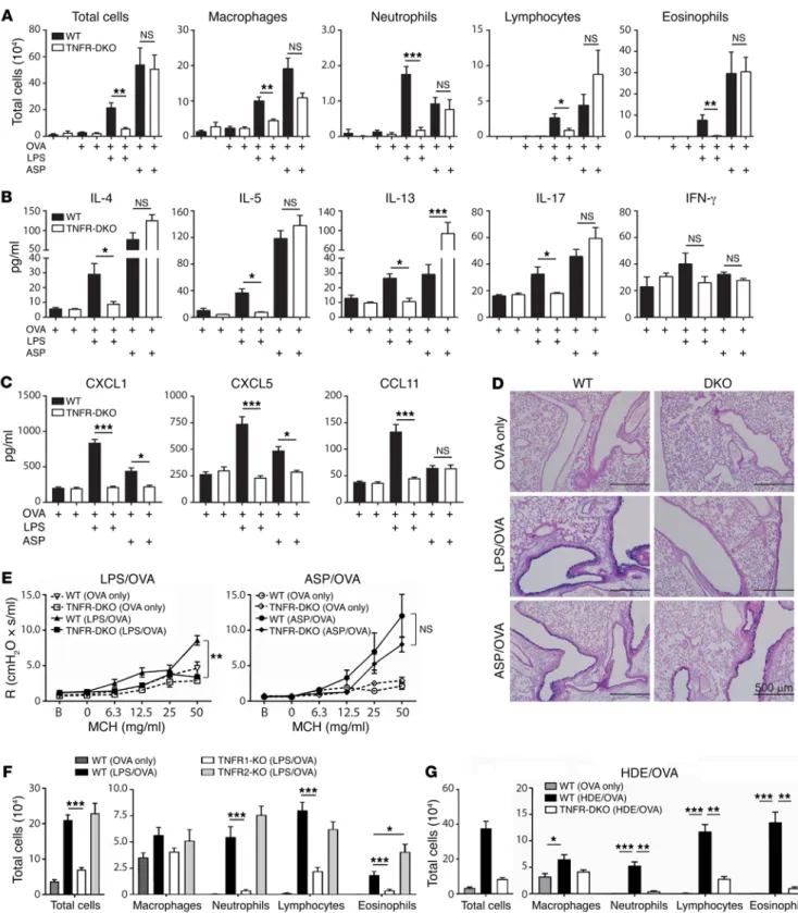 Figure 3. TNF is required in a TLR ligand–mediated model of asthma. (A–E and G) WT and TNFR1/2-DKO mice were sensitized to OVA using the indicated  adjuvants, and subsequently challenged with aerosolized OVA