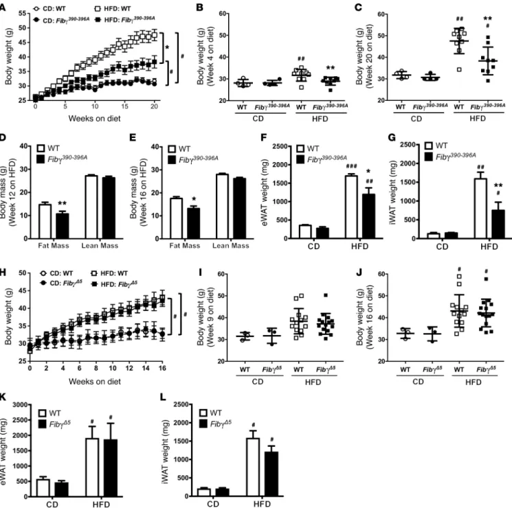 Figure 2. Fibγ 390–396A , but not Fibγ Δ5 , mice are protected from the development of HFD-driven obesity