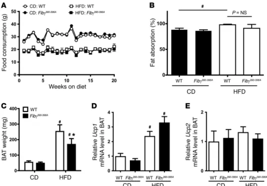Figure 3. Fibγ 390–396A  mice consume the same amount of food, have similar intestinal fat absorption, and have reduced brown adipose tissue weight fol- fol-lowing HFD challenge compared with WT mice