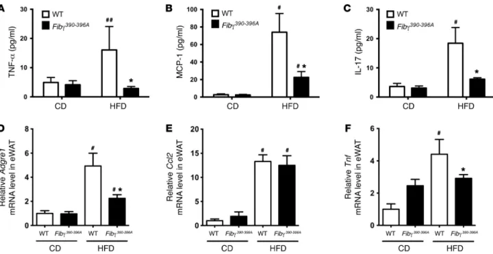 Figure 4. Fibγ 390–396A  mice develop significantly diminished HFD-induced systemic and adipose inflammation