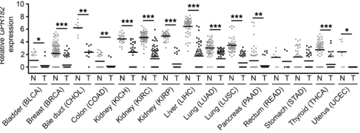 Figure 8. Low GPR182 expression in human carcinomas. Relative GPR182 expression determined by TCGA RNA-seq of patient-matched normal (N)  and tumor (T) tissue