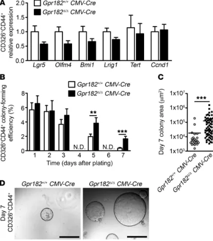 Figure 6. Loss of Gpr182 leads to increased growth efficiency of  single-crypt epithelial cells ex vivo