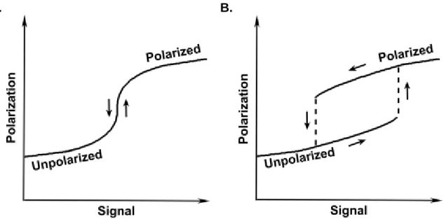 Fig. 1.1 Dosage-Response Curves for Monostable and Bistable Models. (A) Monostable  positive-feedback models have sigmoidal-shaped curves created by the strong positive feedback