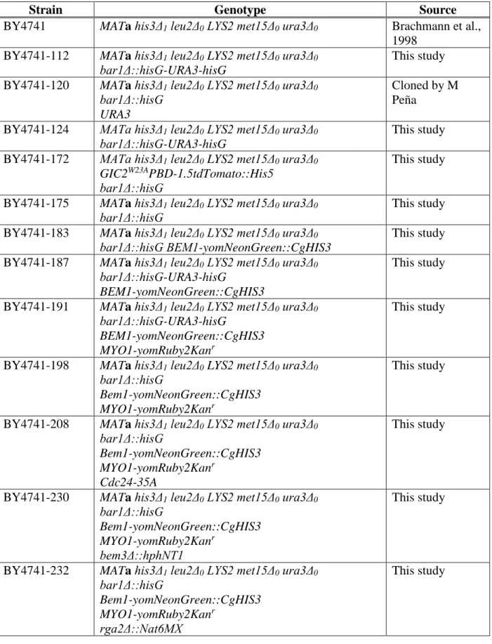 Table 2.1 Budding Yeast Strains Constructed in this Study 