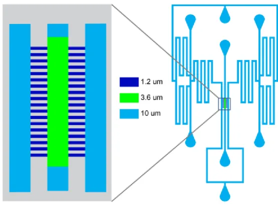 Fig. 2.1 Schematic of the custom microfluidic chamber. On left, enlargement of main  chamber
