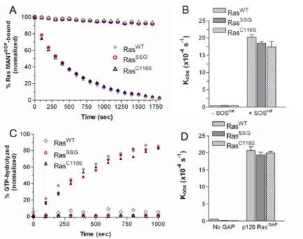 Figure 4. Biochemical characterization of glutathione-modified Ras.  