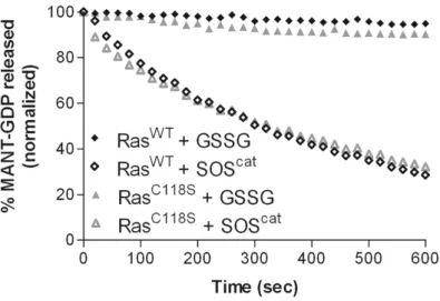 Figure 7. Effect of oxidized glutathione on nucleotide binding in Ras. 