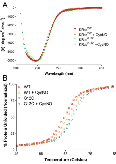 Figure 9. CD spectroscopy of K-Ras WT  and K-Ras G12C . 