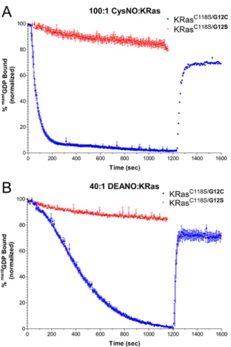 Figure 10. Nitrosylated K-Ras and nucleotide binding. 