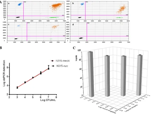 FIG 1 Two-dimensional (2D) plots (A), calibration curves (B), and the average MRSA index ratio (MIR) of MRSA (C) of duplex ddPCR for detection of MRSA N315per ml, and theﬂuorescence amplitude corresponding to the HEX ﬂuorophore (ﬂuorophore (positive; green