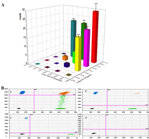 FIG 2 The average MRSA index ratios (MIRs) (A) and two-dimensional (2D) plots (B) of duplex ddPCR for detection of the mixture of MSSA 91118 and MR-CoNSWH01 under different concentrations (a, 1 � 106 CFU/ml each; b, 1 � 105 CFU/ml each; c, 1 � 104CFU/ml ea
