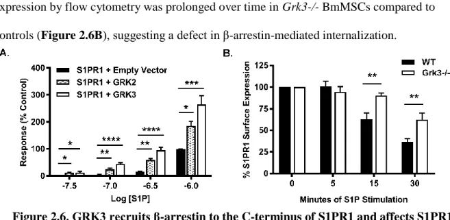 Figure 2.6. GRK3 recruits β-arrestin to the C-terminus of S1PR1 and affects S1PR1  internalization