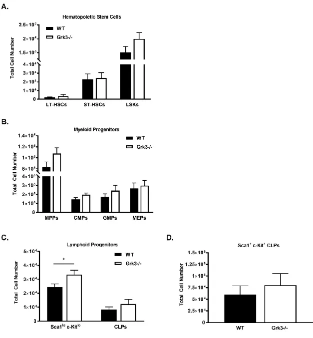 Figure 3.3. Grk3-/- hematopoietic stem and progenitor cell numbers are 