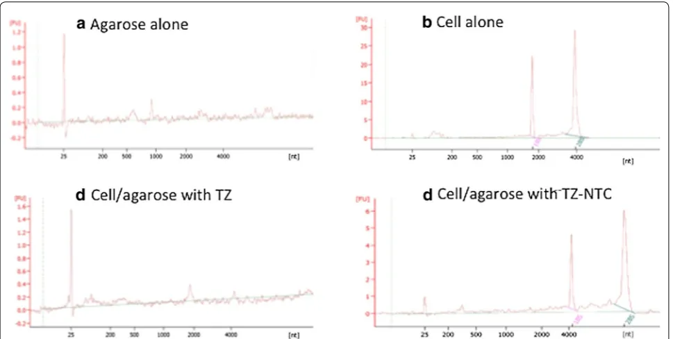Fig. 7 reagent combined with NucleoSpin® Gel and PCR clean-up ( reagent (d). bFUnt fluorescent unit, ), cell/agarose construct by TRIzolreagent (c) and cell/agarose construct by TRIzol® Chromatograms of microcapillary electrophoresis