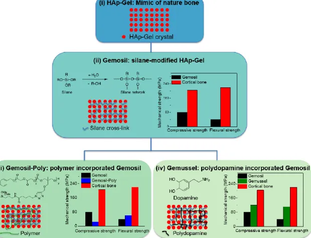Figure 1.5. The evolution of different generations of HAp-Gel based composites. 