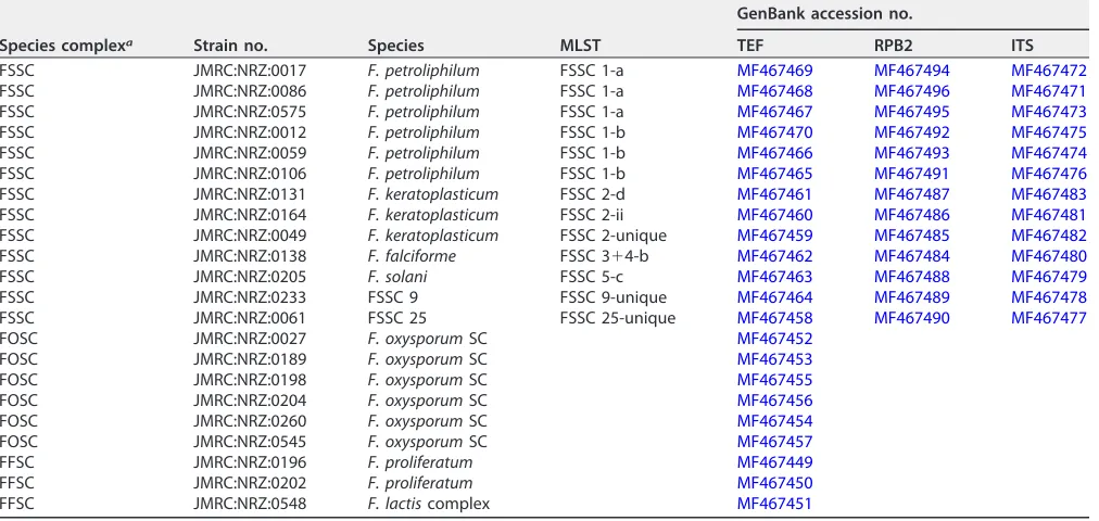 TABLE 5 Strains studied and their GenBank accession numbers and MLSTs