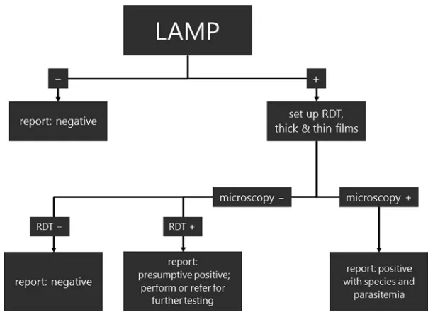 TABLE 5 Cost analysis performed on current malaria testing algorithm at our institution compared to a proposed workﬂow where LAMPis conducted as the initial screena