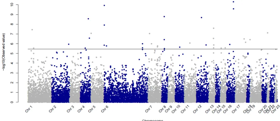 Figure 1: Manhattan Plot presenting p-values (-log10 scale) for the association between CML patients and controls for the 13 937 SNPs passing quality control criteria