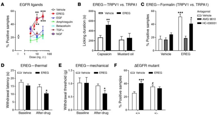 Figure 2. Spinally administered EREG, but not other EGFR ligands, produces hypersensitivity