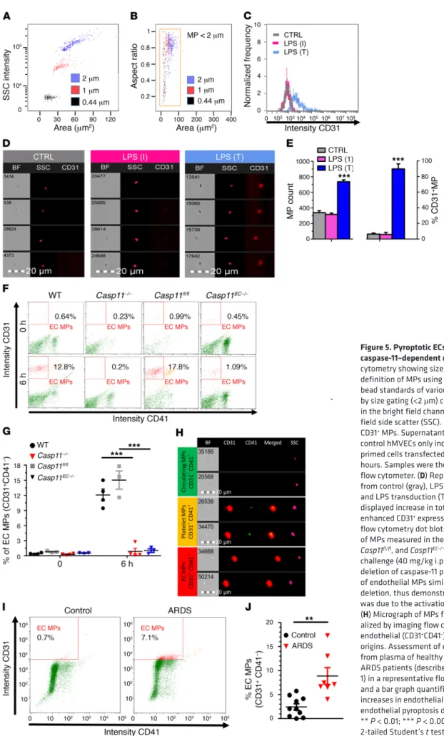 Figure 5. Pyroptotic ECs generate MP in  caspase-11–dependent manner. (A and B) Flow  cytometry showing size calibration and gate  definition of MPs using fluorescent polystyrene  bead standards of various sizes