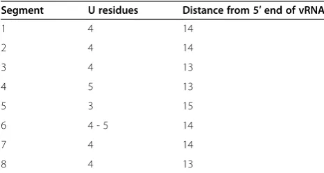 Table 2 Characterization of the U stretch region in the3′ NCR of the vRNA