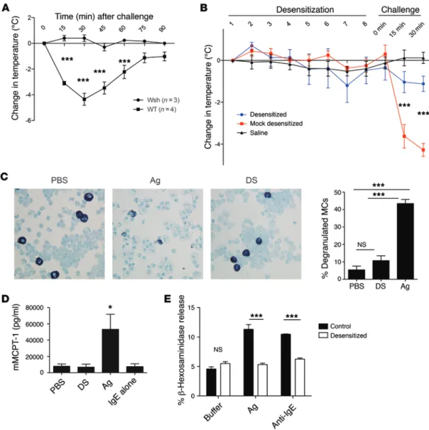 Figure 1. In vivo and in vitro models of desensitization. (A–D) Mice were sensitized i.p