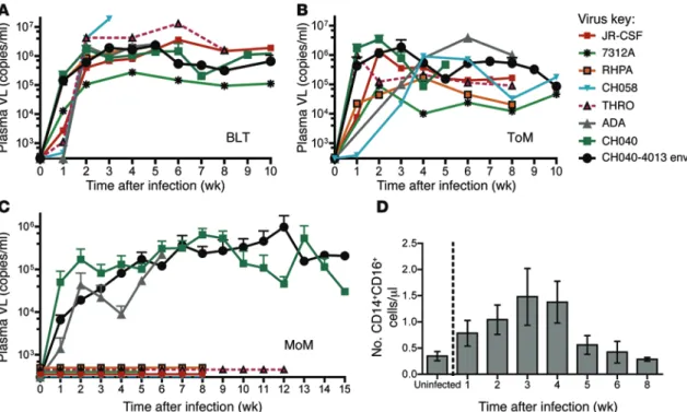 Figure 3. HIV replication can be sustained over time in human macrophages in vivo, but it is limited to very few HIV strains