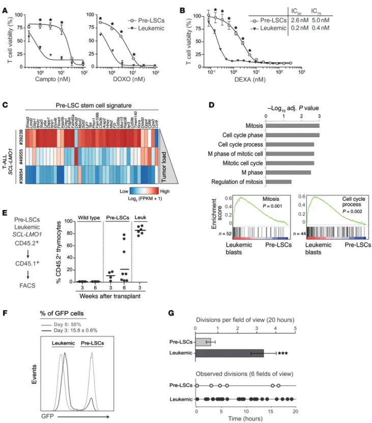 Figure 1. Proliferative leukemic blasts outcompete pre-LSCs and are more sensitive to chemotherapeutic agents