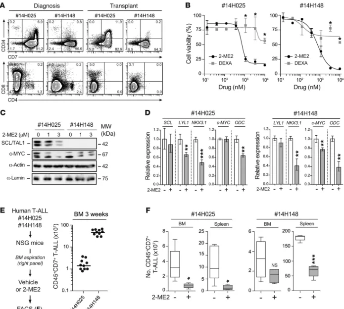 Figure 7. 2-ME2 reduces human T-ALL development in xenograft models. (A) Immunophenotype of human T-ALL samples (nos