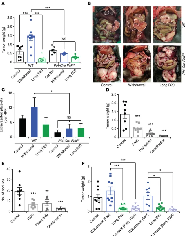 Figure 4. Role of platelet FAK on tumor growth. (A) Mean aggregate tumor weight and (B) representative images of necropsy in WT or platelet-specific  FAK-deficient mice that carried tumors induced by i.p