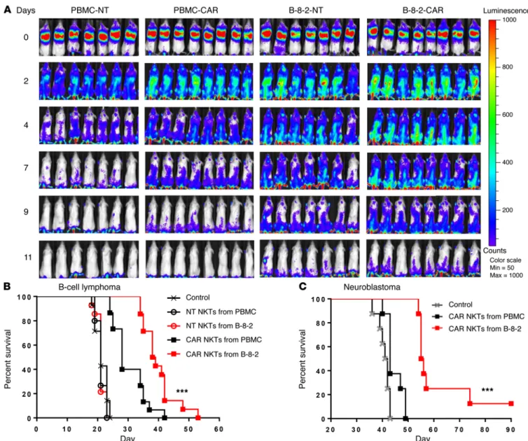 Figure 8. aAPC-expanded NKTs have superior in vivo persistence and antitumor activity