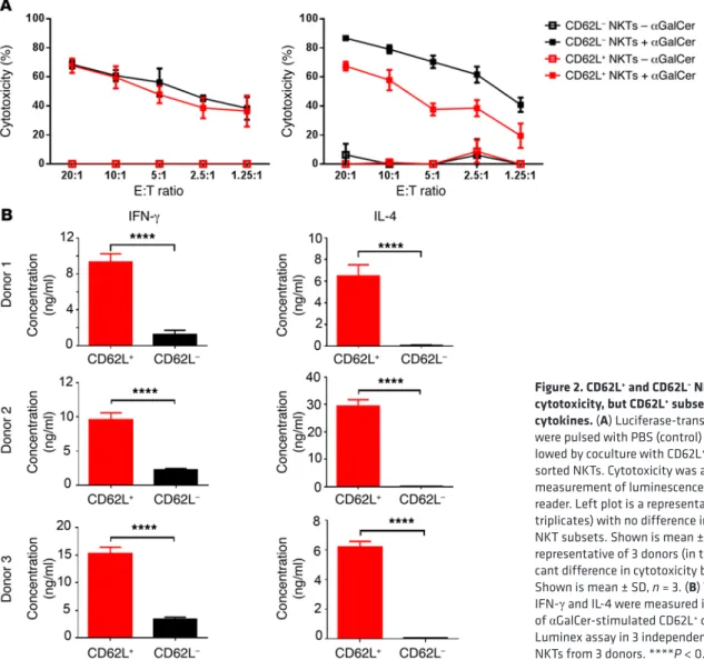 Figure 2. CD62L +  and CD62L –  NKTs have comparable  cytotoxicity, but CD62L +  subset is the main source of  cytokines